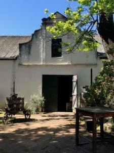 Annandale Wine Estate during our Cape Winelands tour