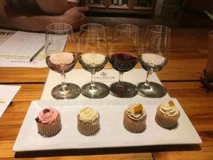 Delheim Wine Estate Cupcakes and Wine Tasting during our Cape Winelands Tour