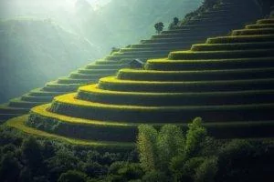 sculpted green rice terraces, Bali, Indonesia