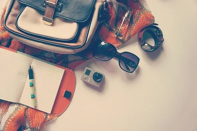 Purse and accessories for trip