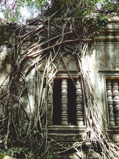 Beng Mealea Temple with tree roots growing over window