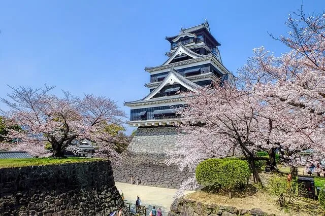 Japan Cherry Blosoms in front of Pagoda