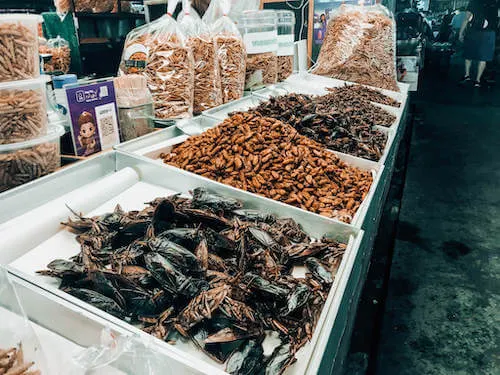 Bugs at a Chiang Mai market