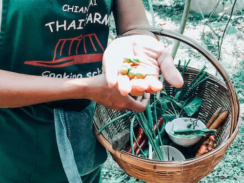 Inspecting veggies at Thai Farm Cooking School