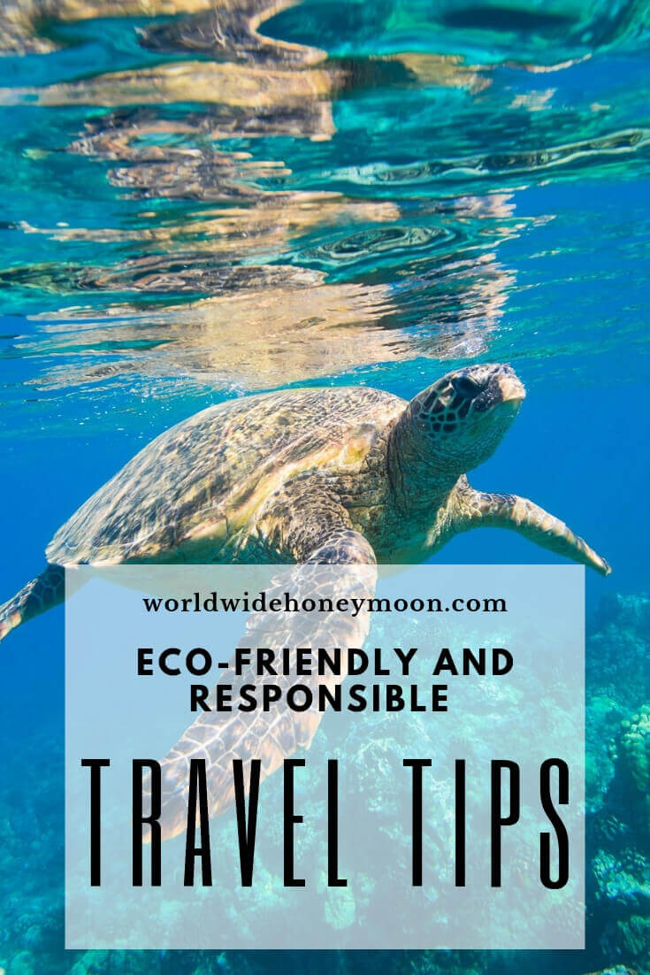 Eco-Friendly and Responsible Travel tips Pinterest Pin