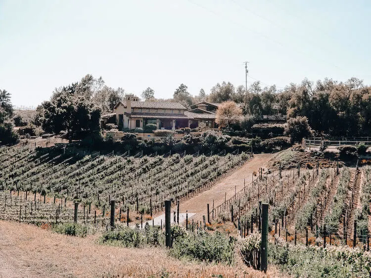 Eleven Oaks at Carhartt Family Vineyard