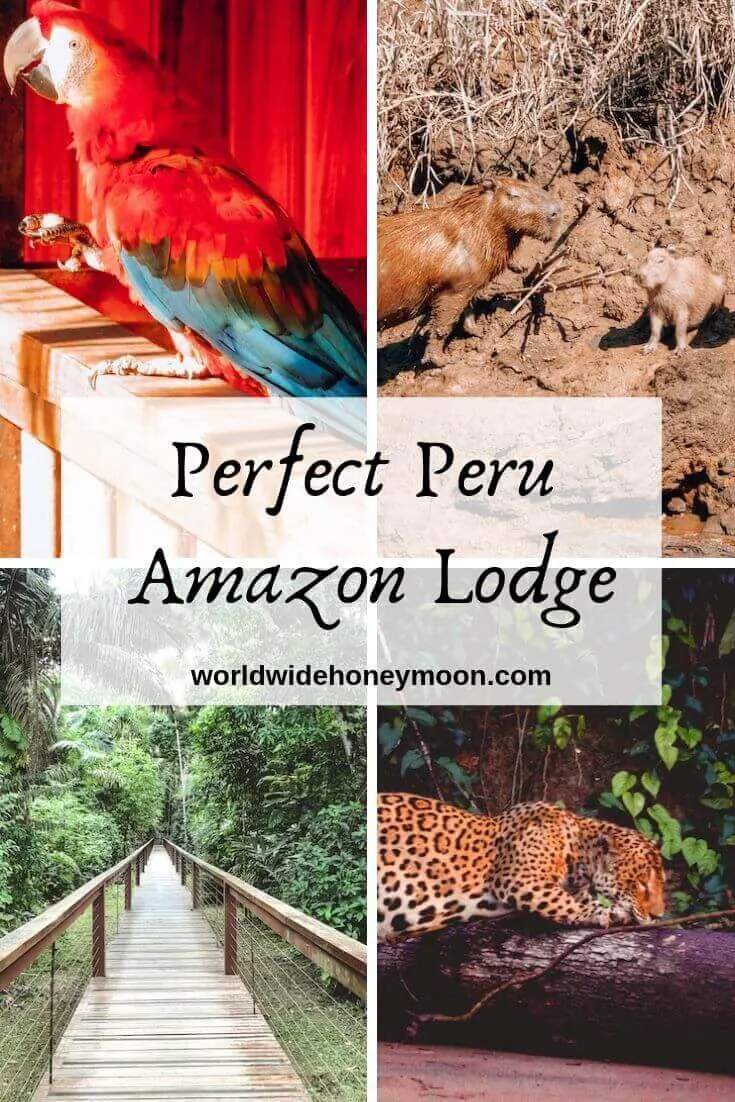The Perfect Peru Amazon Lodge- Tambopata Research Center