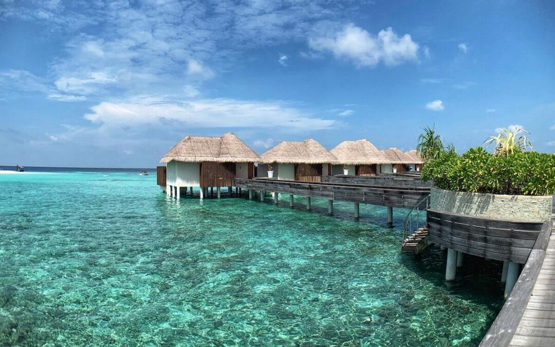 These Are The Best Credit Cards For Wedding And Honeymoon Planning