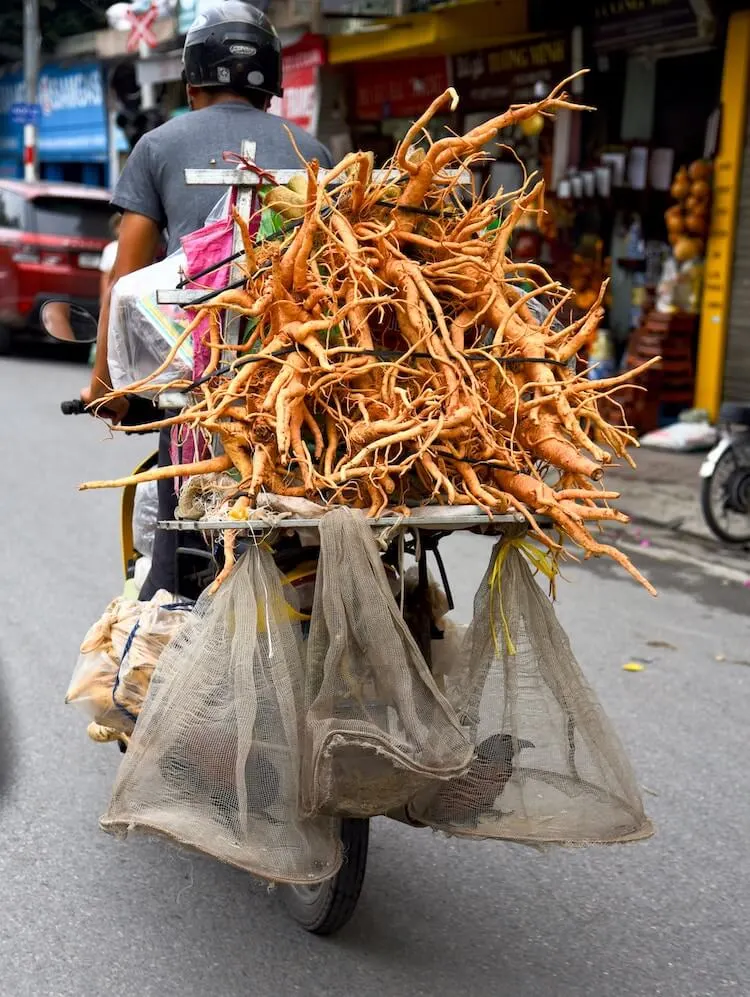 Man on bike with a heavy load