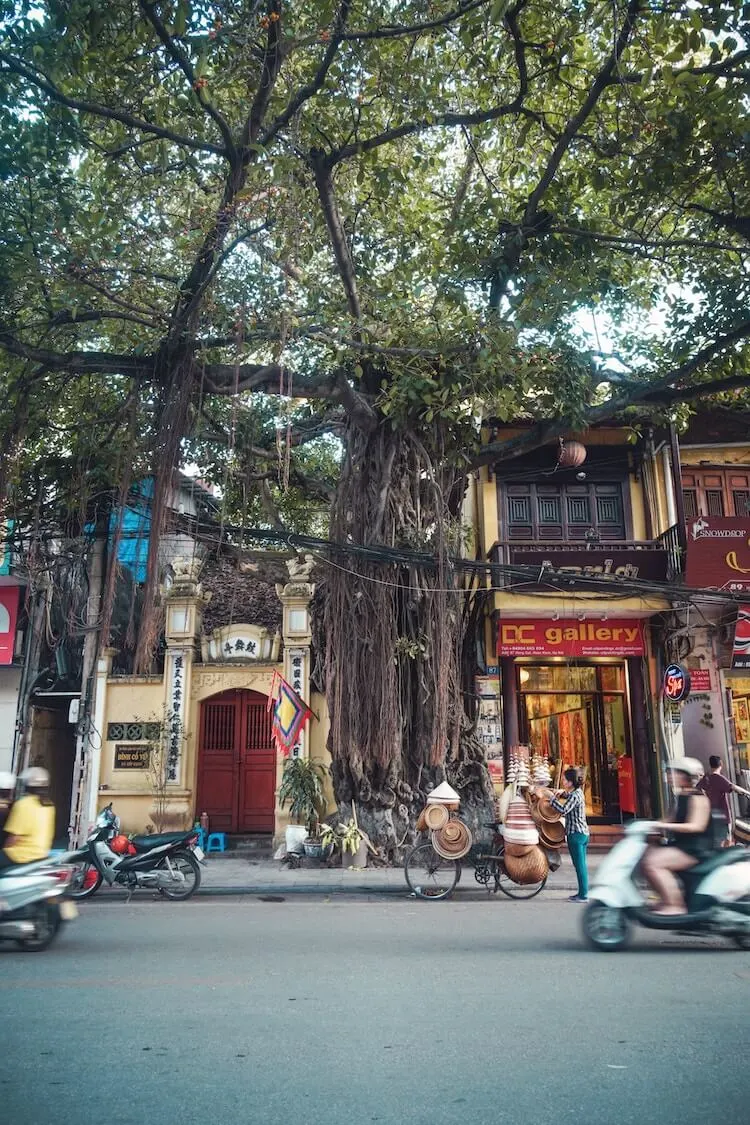 Streets of Hanoi