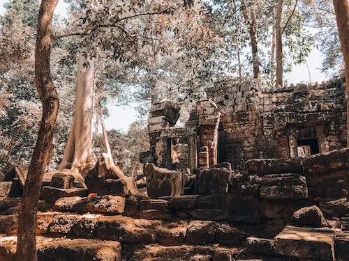 Ta Nei outside of temple complex: Siem Reap in 2 Days