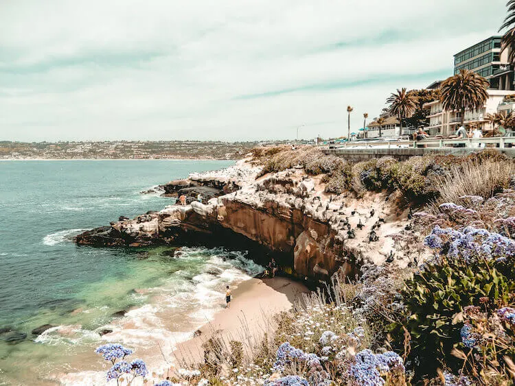 La Jolla Cove bluffs and beaches