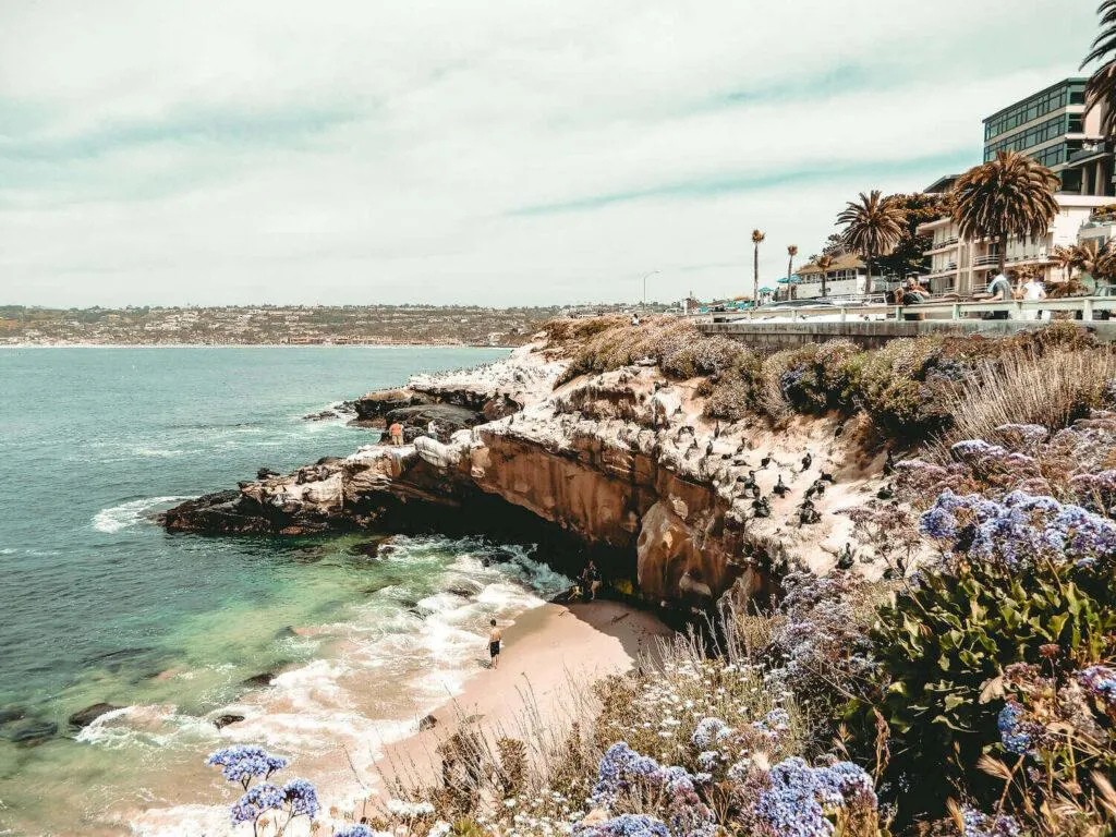 La Jolla Cove in San Diego, California including the beach, ocean, birds, and sea lions: One day in San Diego