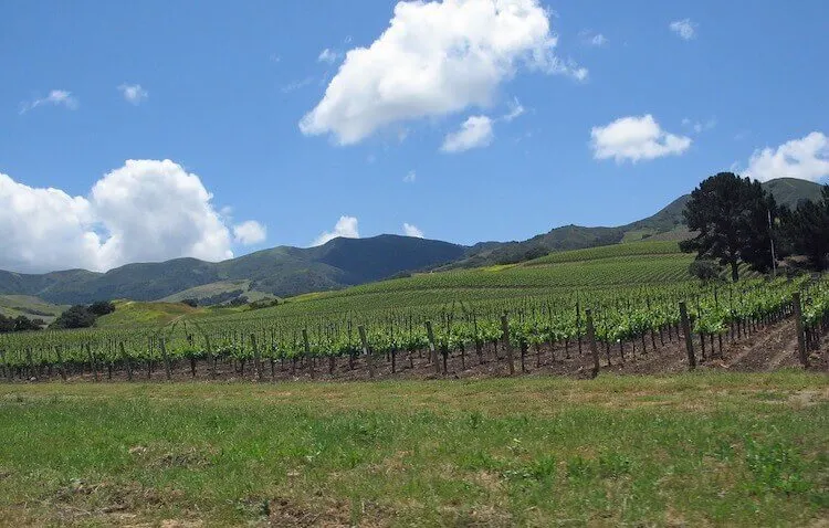Santa Ynez wine valley in California