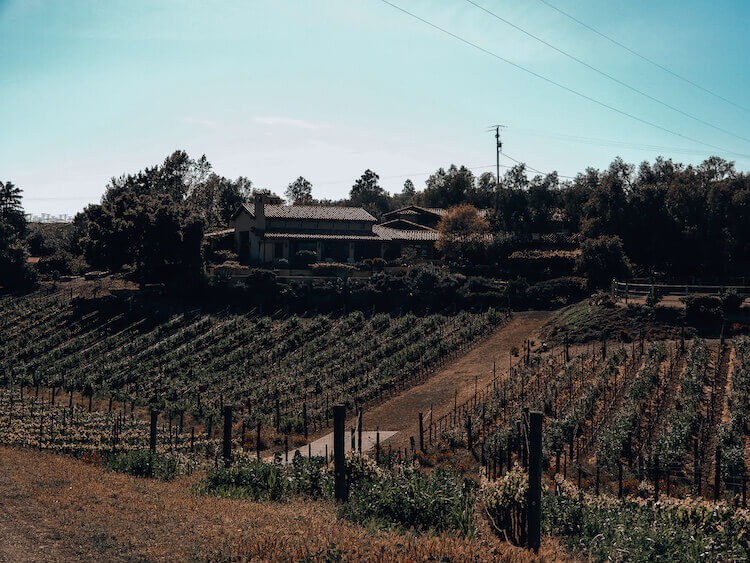 The house on Carhartt Vineyards you can rent