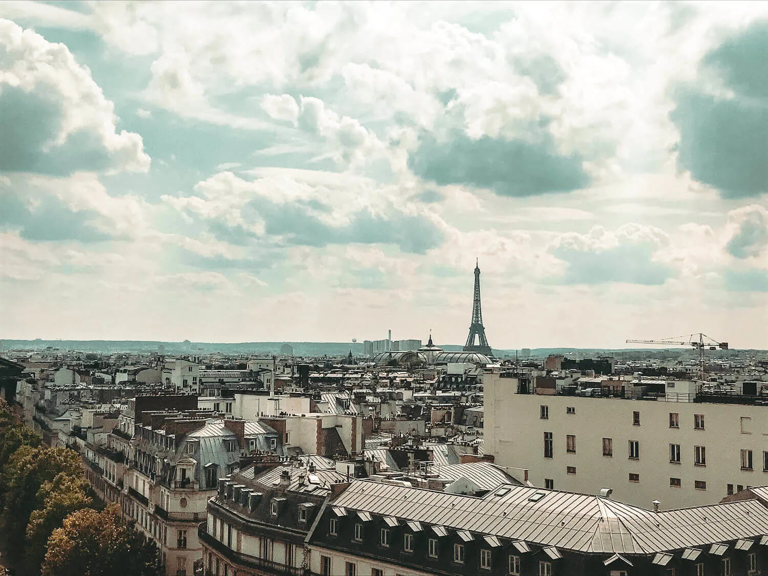 Views of Paris rooftops and the Eiffel Tower from Perruche