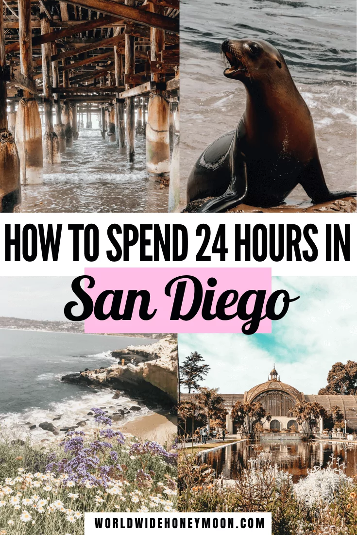 This is how to spend 24 hours in San Diego | 1 Day in San Diego | San Diego 1 Day | San Diego 1 Day Itinerary | San Diego Things to do in 1 Day | Things to do in San Diego | San Diego California | San Diego Honeymoon | San Diego Food Restaurants | San Diego Attractions | Balboa Park San Diego | La Jolla San Diego | Downtown San Diego Things to do in | San Diego Itinerary | US Destinations | North America Destinations
