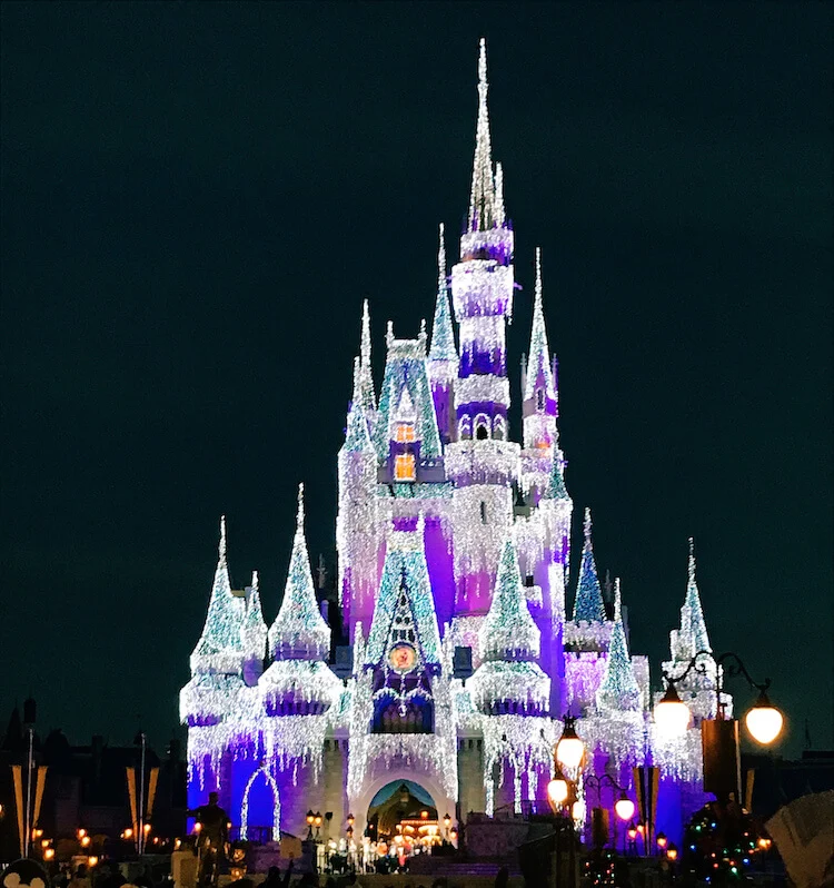 Disney World and Cinderella's Castle at Disney World