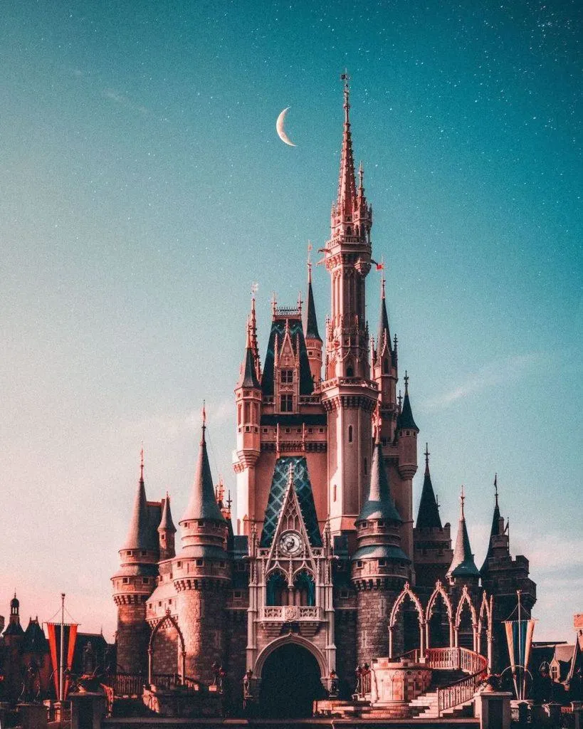 Disney World castle under the stars