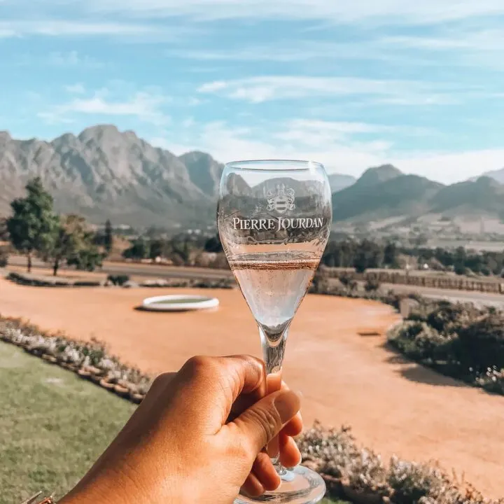 Guide to Exploring the Cape Winelands in South Africa