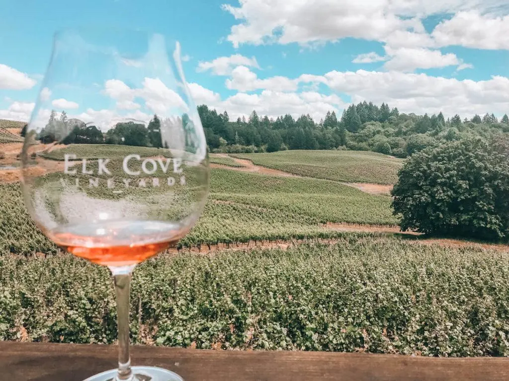 Willamette Valley- Where to Travel to for Drinks