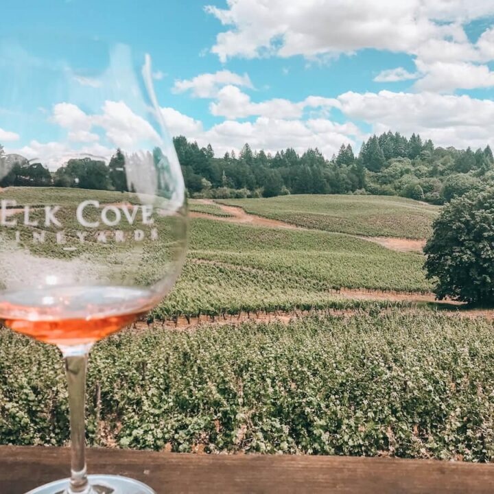 Willamette Valley- Where to Travel to for Drinks