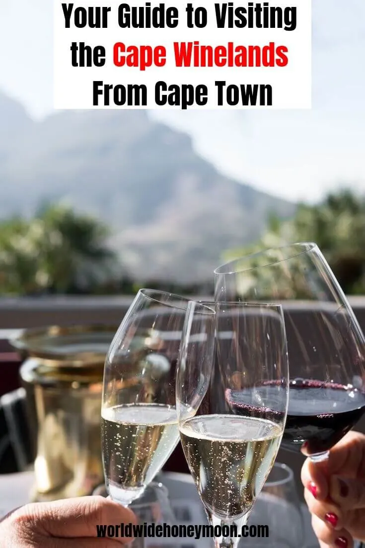 Your Guide to Visiting the Cape Winelands from Cape Town