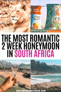 The Ultimate 2 Weeks in South Africa | South Africa Honeymoon Itinerary | South Africa Safari | South Africa Travel Inspiration | South Africa Photography | Kruger National Park South Africa | Cape Town South Africa | Johannesburg South Africa | South Africa Itinerary | South Africa 2 Week Itinerary | South Africa Itinerary | 14 Days in South Africa #2weeksinsouthafrica #southafricaitinerary #southafrica #southafricatravel