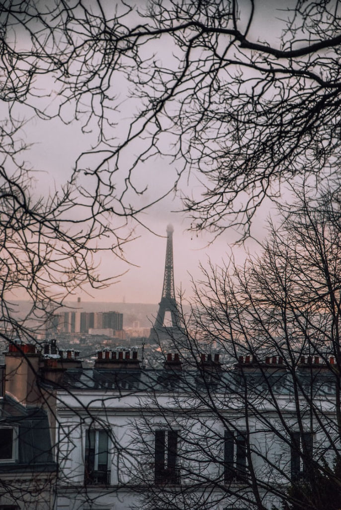 Paris on a chilly, winter day