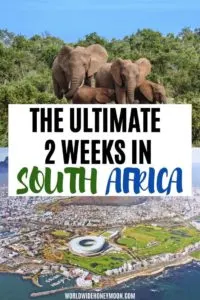 The Ultimate 2 Weeks in South Africa - South Africa Honeymoon - South Africa Safari - South Africa Travel Inspiration - South Africa Photography - Kruger National Park South Africa