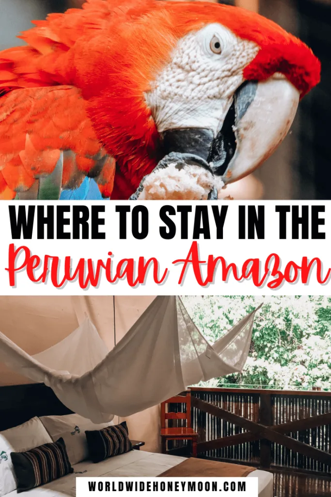 Where to Stay in the Peruvian Amazon