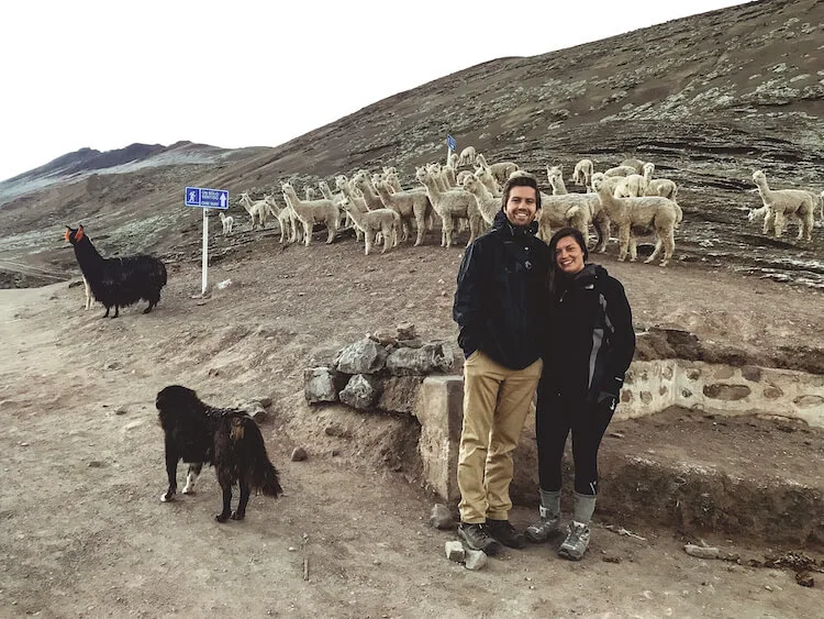 Kat and Chris with a herd of alpaca at the start of the trail for Rainbow Mountain