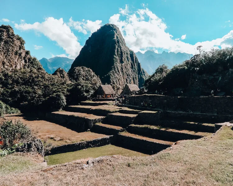 Machu Picchu plus agricultural terraces