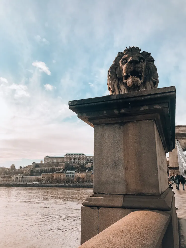 Lion statue on the Chain Bridge in Budapest