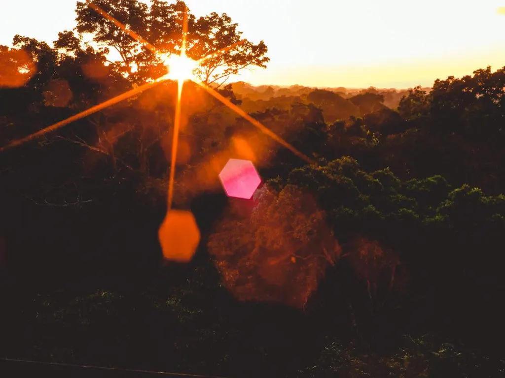 Sunrise over the Amazon Rainborest Canopy with the sun between the trees - Top Travel Superlatives