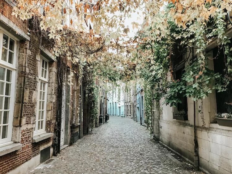 Bright pathway with plants overhead and a cobblestone street in Antwerp- Antwerp in a Day