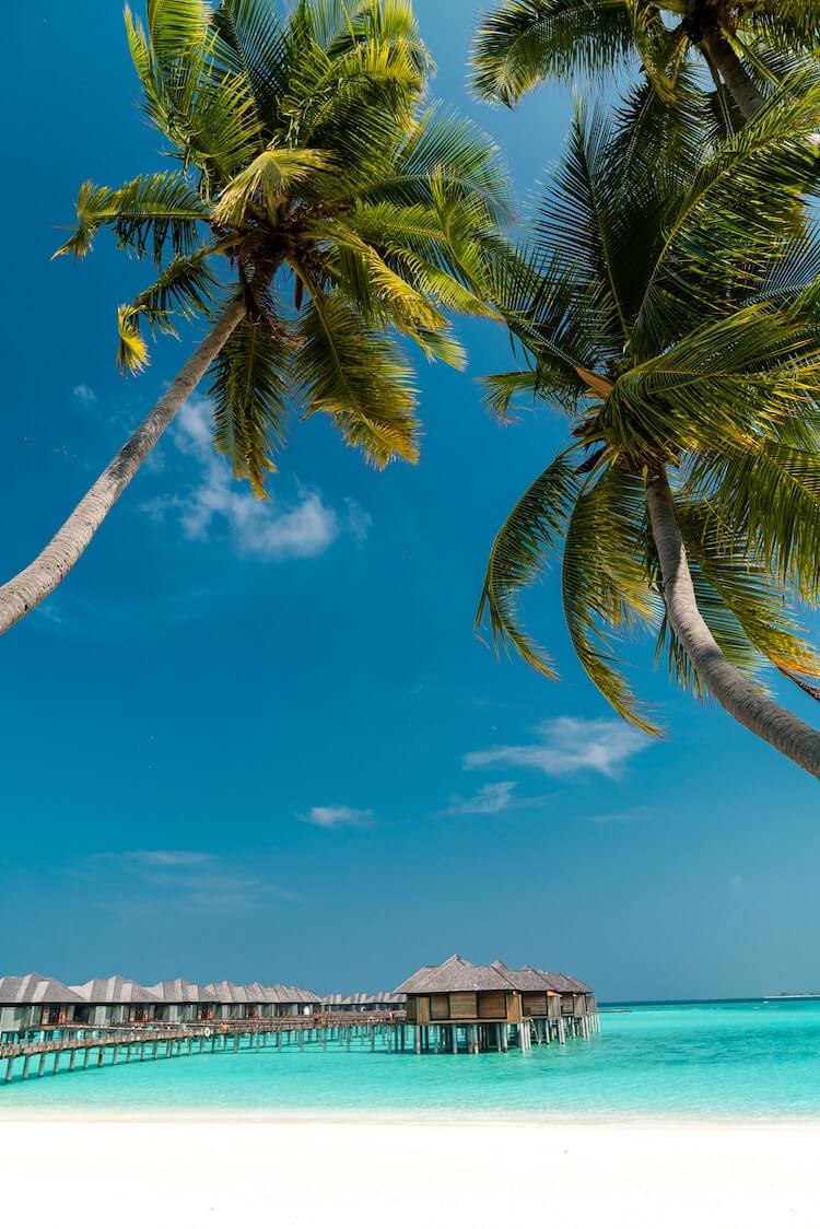 Overwater Bungalows in the Maldives