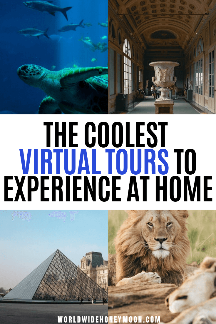 Virtual Tours of Museums | Best Virtual Tours | Virtual Safari | Virtual Museum Tour | Virtual Visit Machu Picchu | Virtual Visit National Park | Virtual Art Museum Visit | Zoo Live Cams | Virtual Travel | Virtual Travel Around the World | Travel From Home | Virtual Tours | Virtual Museums Around the World #virtualtours #travelathome #travelingathome #virtualmuseumtours