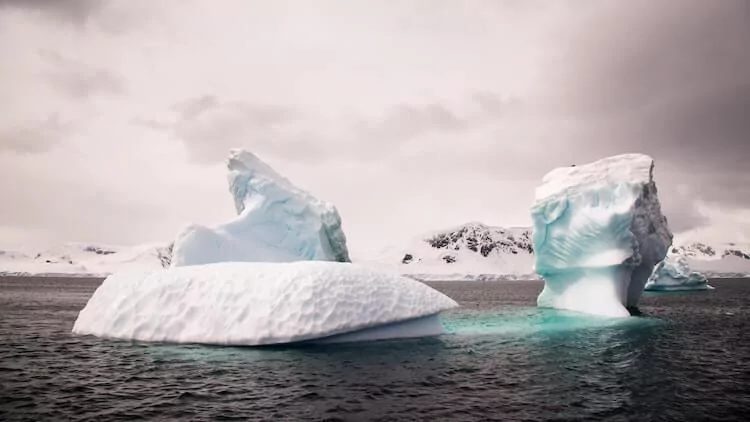 How to Visit Antarctica Virtually