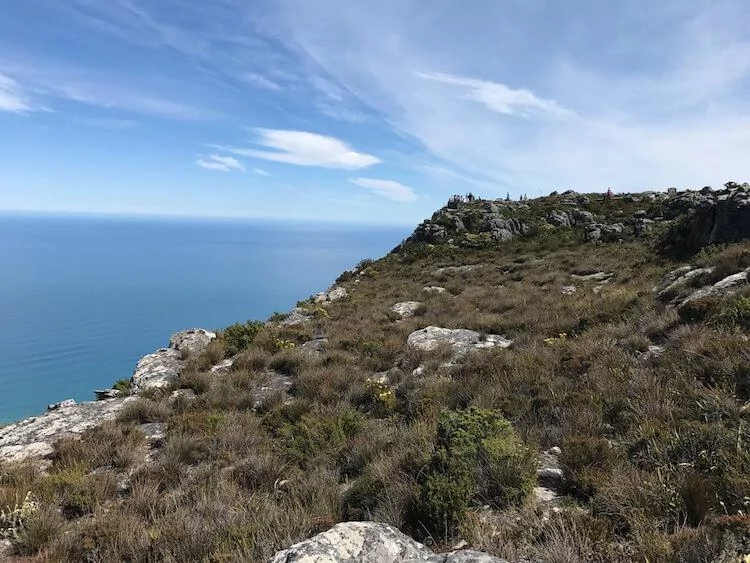 Views of Table Mountain National Park