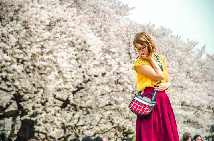 cherry-blossoms-tokyo-travelonthebrain