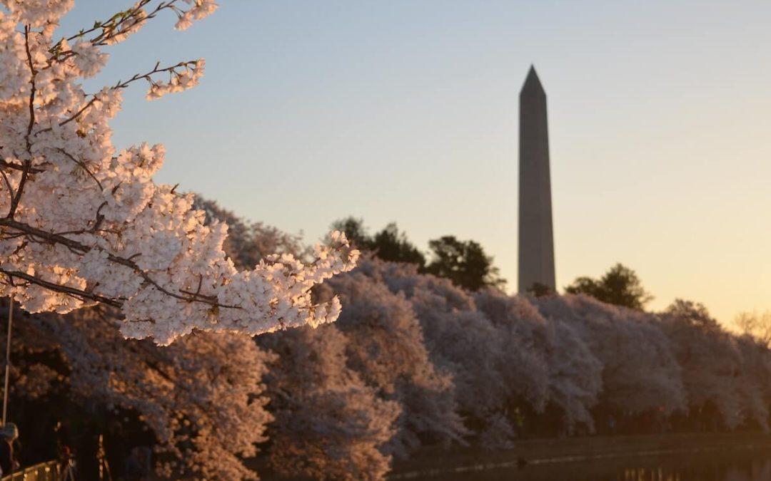 The Perfect 3 Days in Washington, DC Itinerary (With Local Tips!)