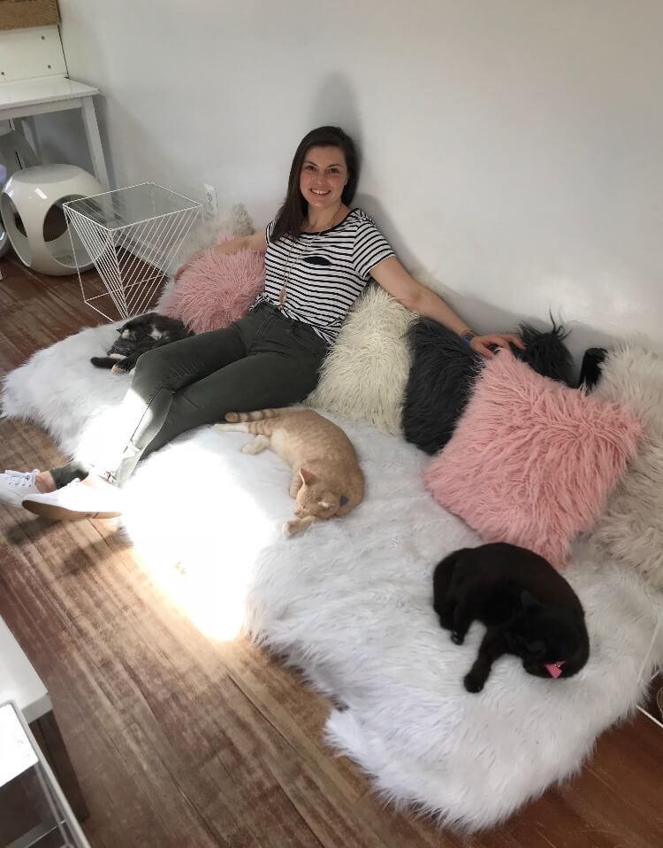 Kat sitting with some sleepy kitties at Crumbs and Whiskers in DC- Things to do in DC