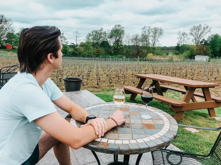 Best Wineries in Geneva, Ohio- Chris viewing the vineyard at M Cellars while drinking wine