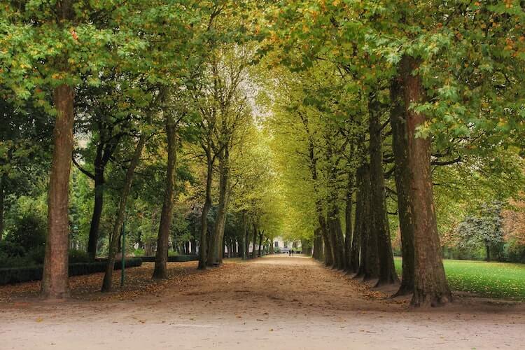 Brussels City Park