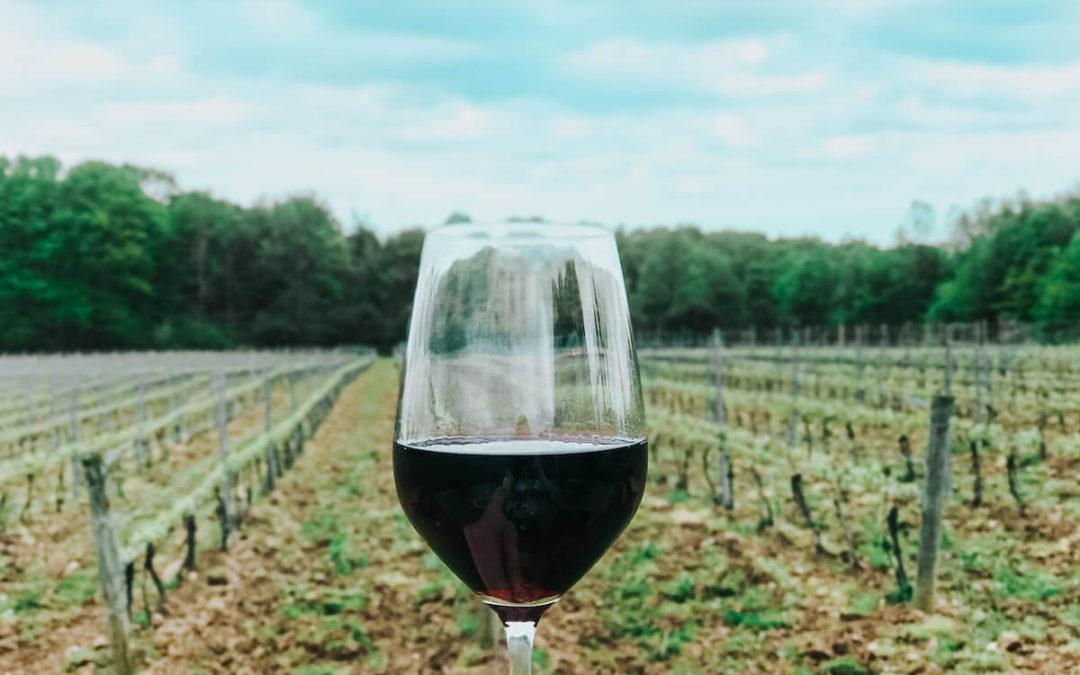 How to Spend the Perfect Day Visiting Geneva, Ohio Wineries (With Local Tips!)