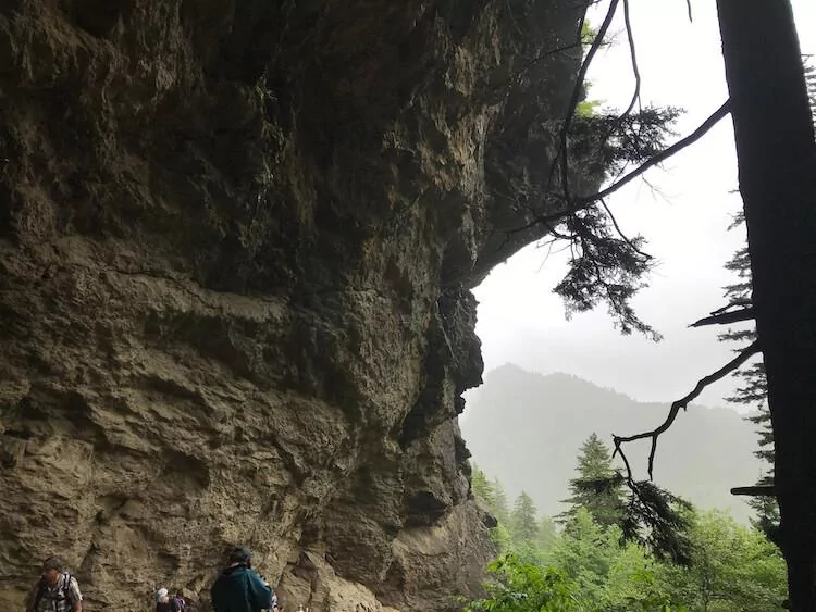 Alum Cave Bluffs on a foggy morning