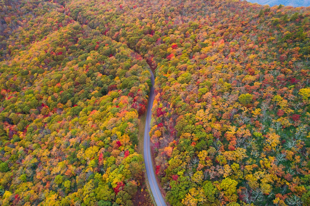 Bird's eye view of the Blue Ridge Mountains in the fall