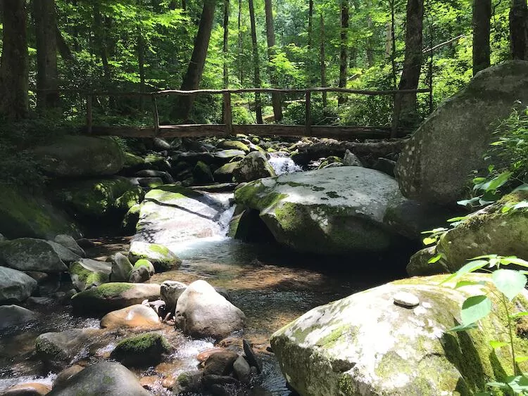 Bridge in the Smokies