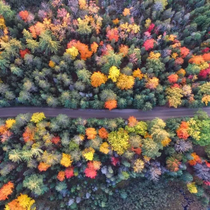 Fall foliage in the USA- Unique Places to Visit in the USA